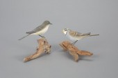 PHOEBE AND SPARROWPeter Peltz