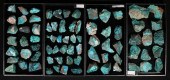 PHOENIX STONE CHYSOCOLLA TURQU