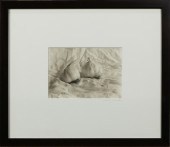 PHOTOGRAPH, ANNE GOMES Anne Go