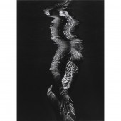 PHOTOGRAPH, BRETT WESTON Brett