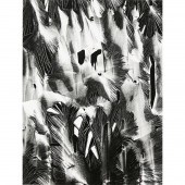 PHOTOGRAPH, BRETT WESTON Brett