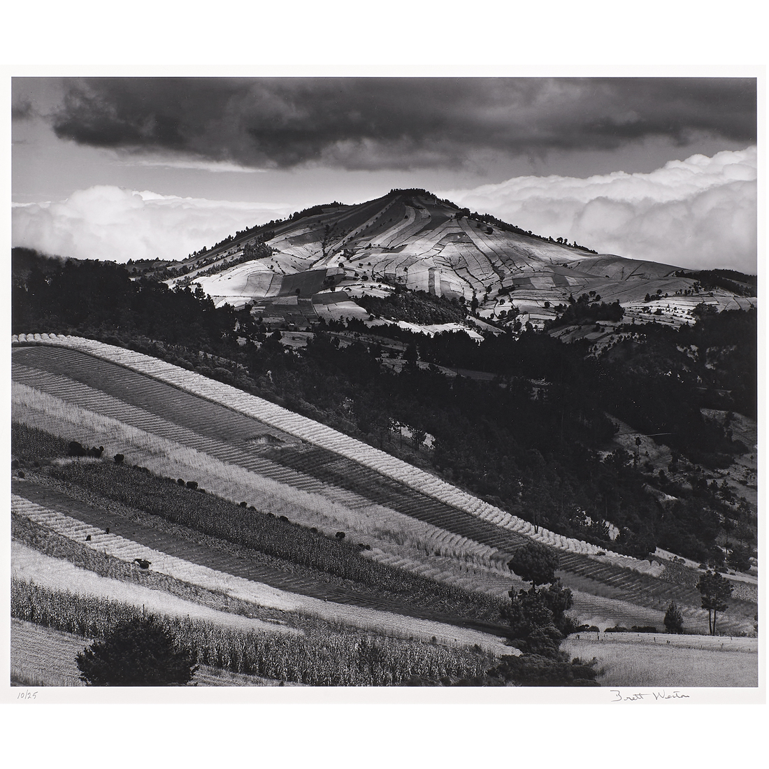 PHOTOGRAPH, BRETT WESTON Brett