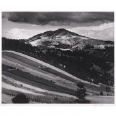 PHOTOGRAPH, BRETT WESTON Brett
