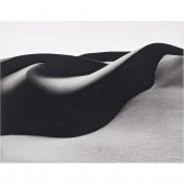 PHOTOGRAPH, BRETT WESTON Brett