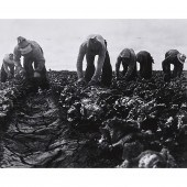 PHOTOGRAPH, DOROTHEA LANGE Dor