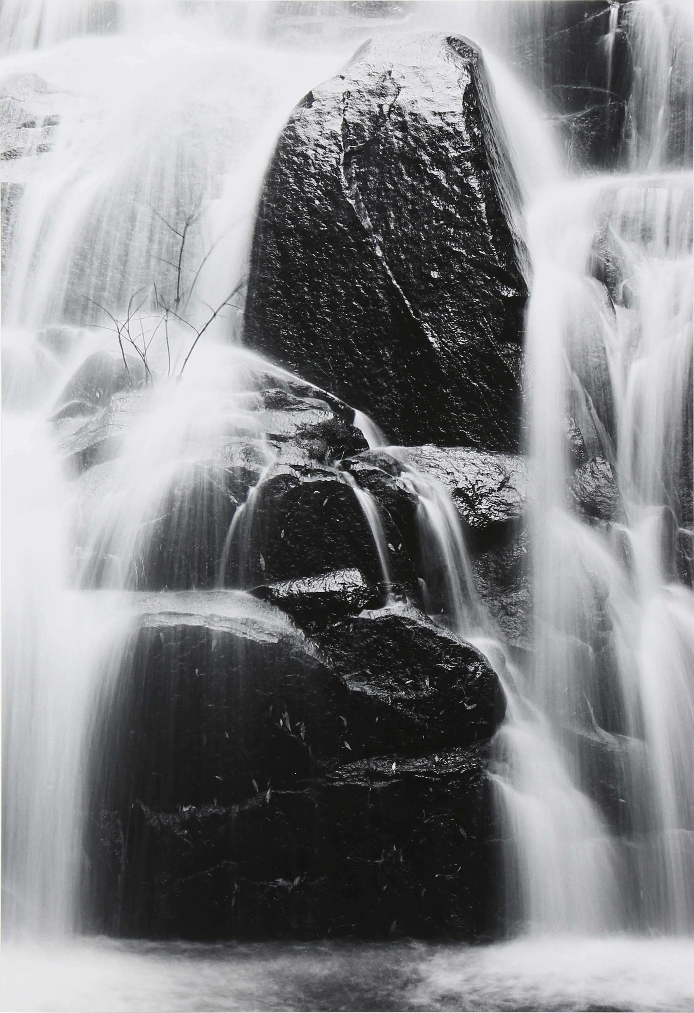 PHOTOGRAPH, HENRY GILPIN Henry