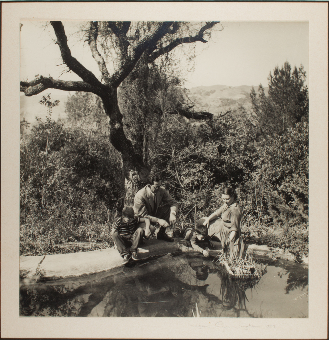 PHOTOGRAPH, IMOGEN CUNNINGHAM