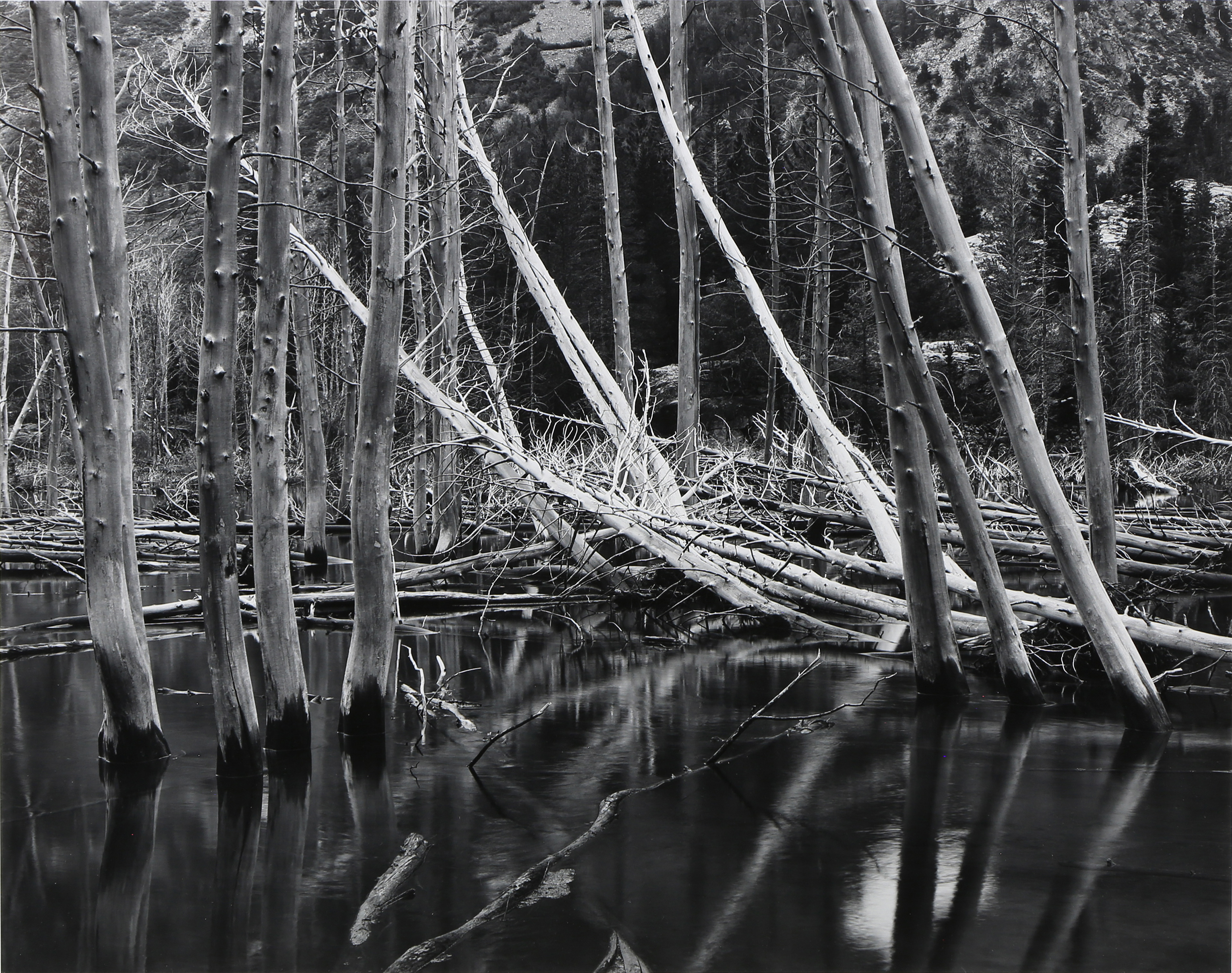 PHOTOGRAPH, JOHN SEXTON John Sexton