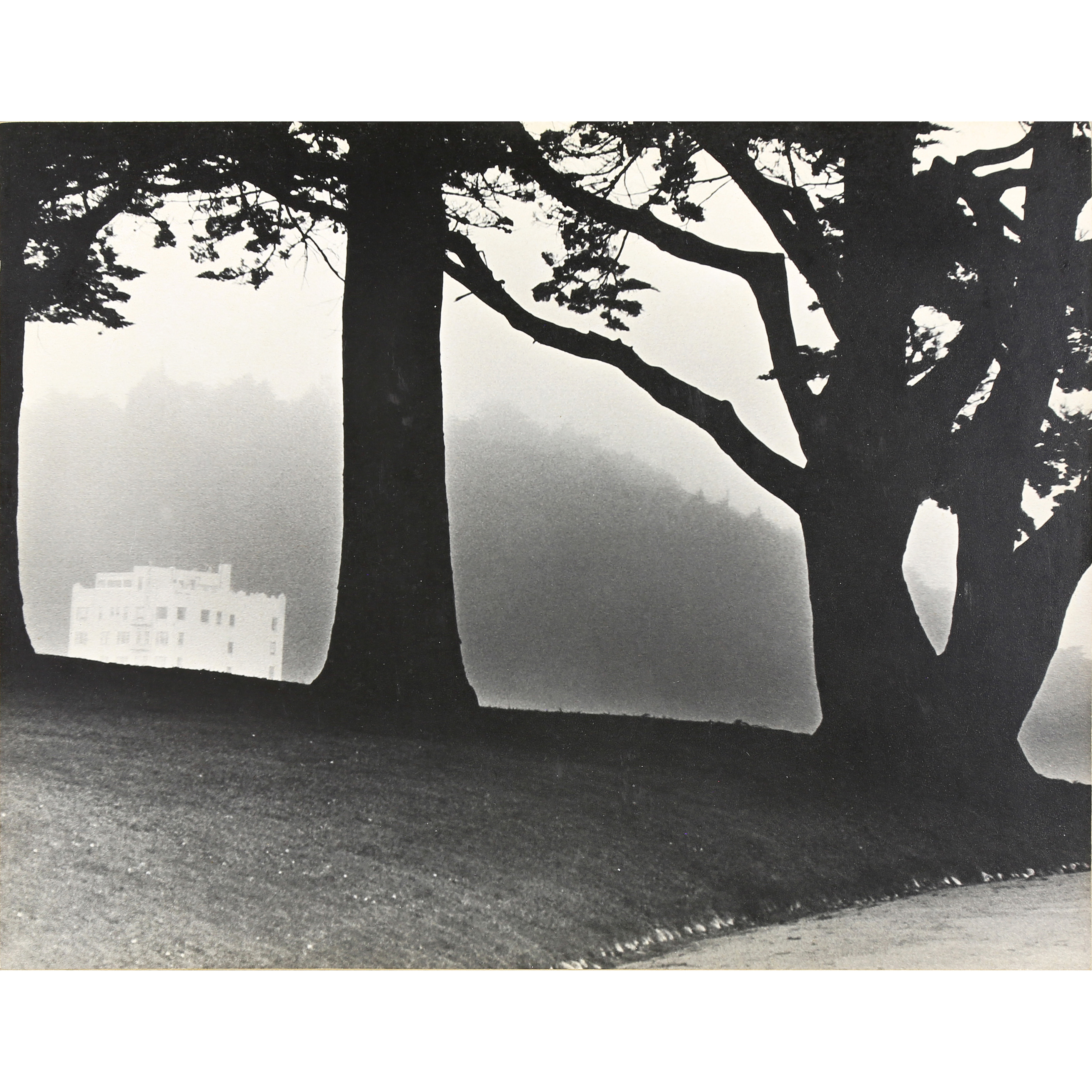 PHOTOGRAPH, JULIAS WILLIAMS