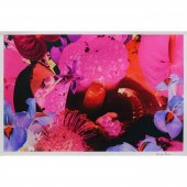 PHOTOGRAPH, MARC QUINN Marc Qu