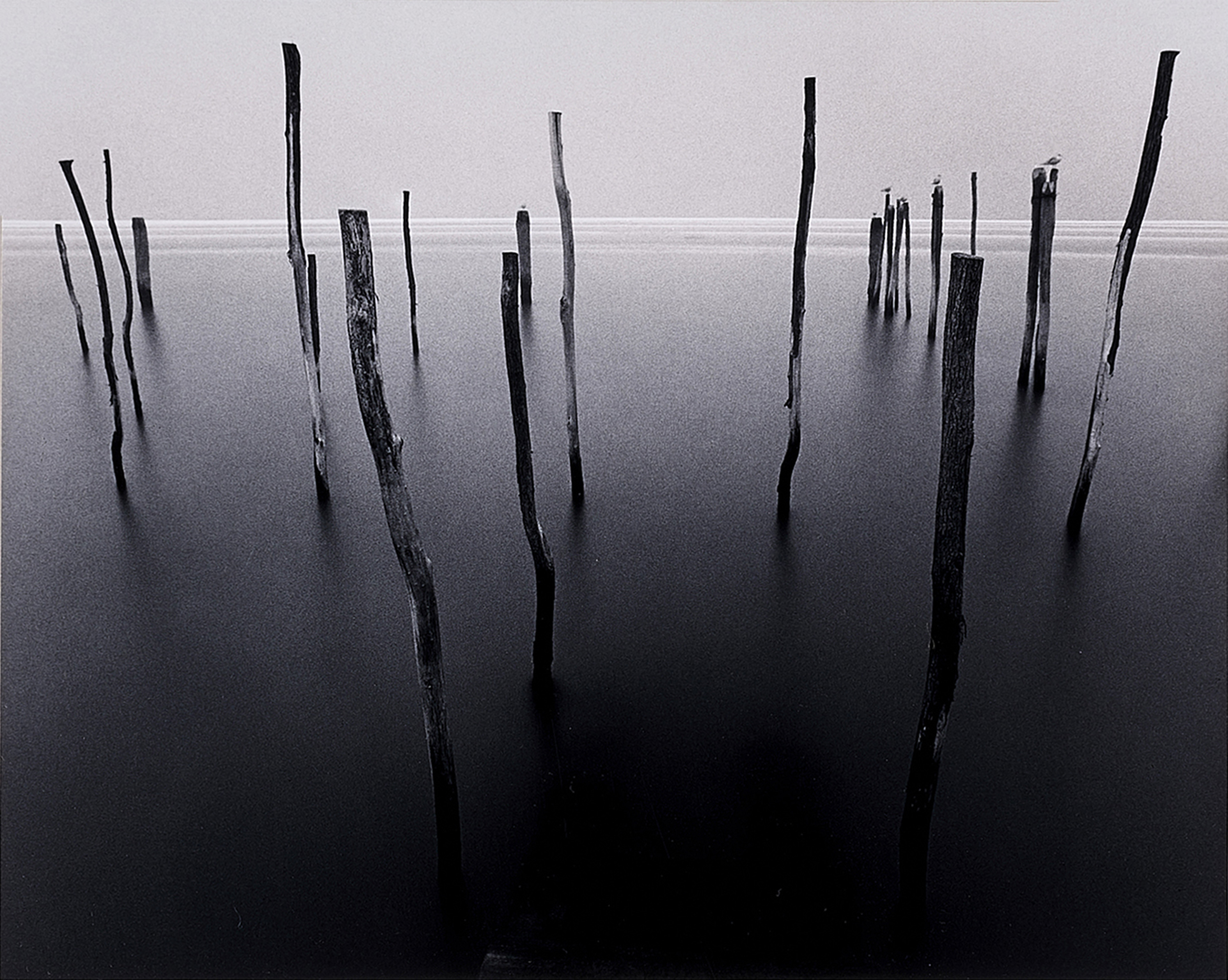 PHOTOGRAPH, MICHAEL KENNA Michael