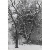 PHOTOGRAPH, MYRON WOOD Myron W