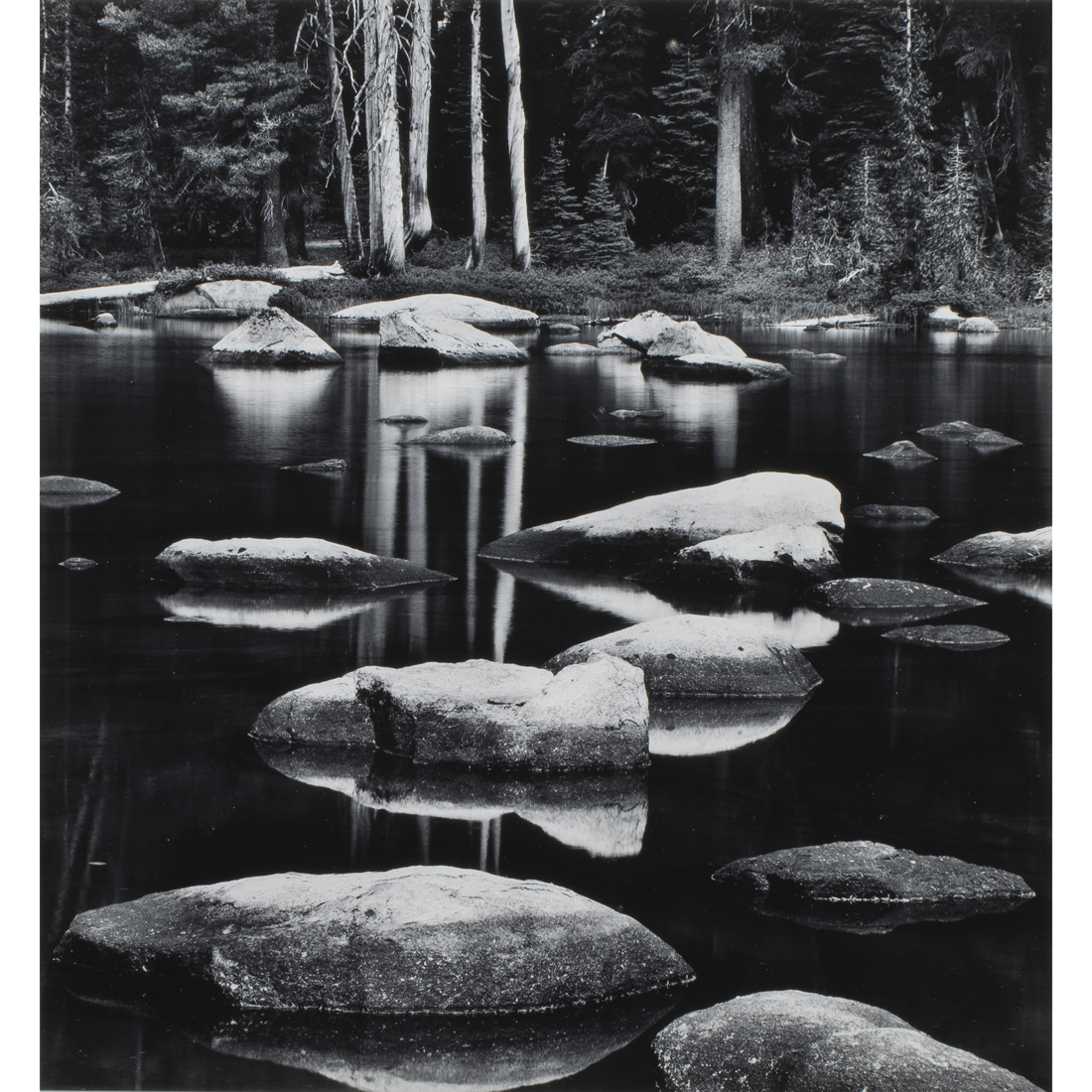 PHOTOGRAPH, RICHARD GARROD