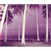 PHOTOGRAPH, RICHARD MISRACH Ri