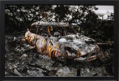 PHOTOGRAPH, SCOTT MADDERN Scot