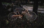 PHOTOGRAPH, SCOTT MADDERN Scot