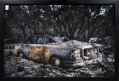 PHOTOGRAPH, SCOTT MADDERN Scot