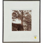 PHOTOGRAPH, STEVE SZABO Steve