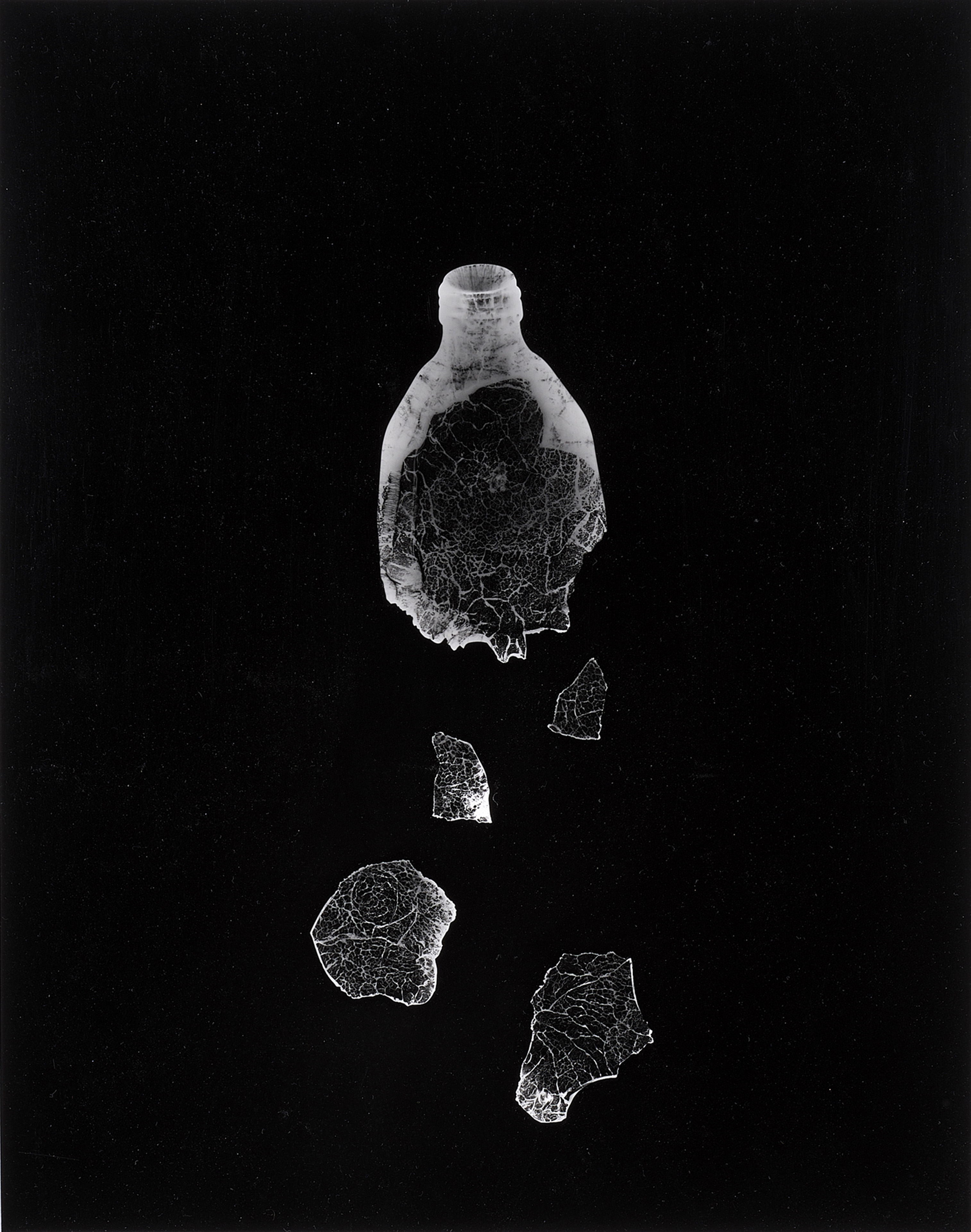 PHOTOGRAPH, SUSANNAH HAYS