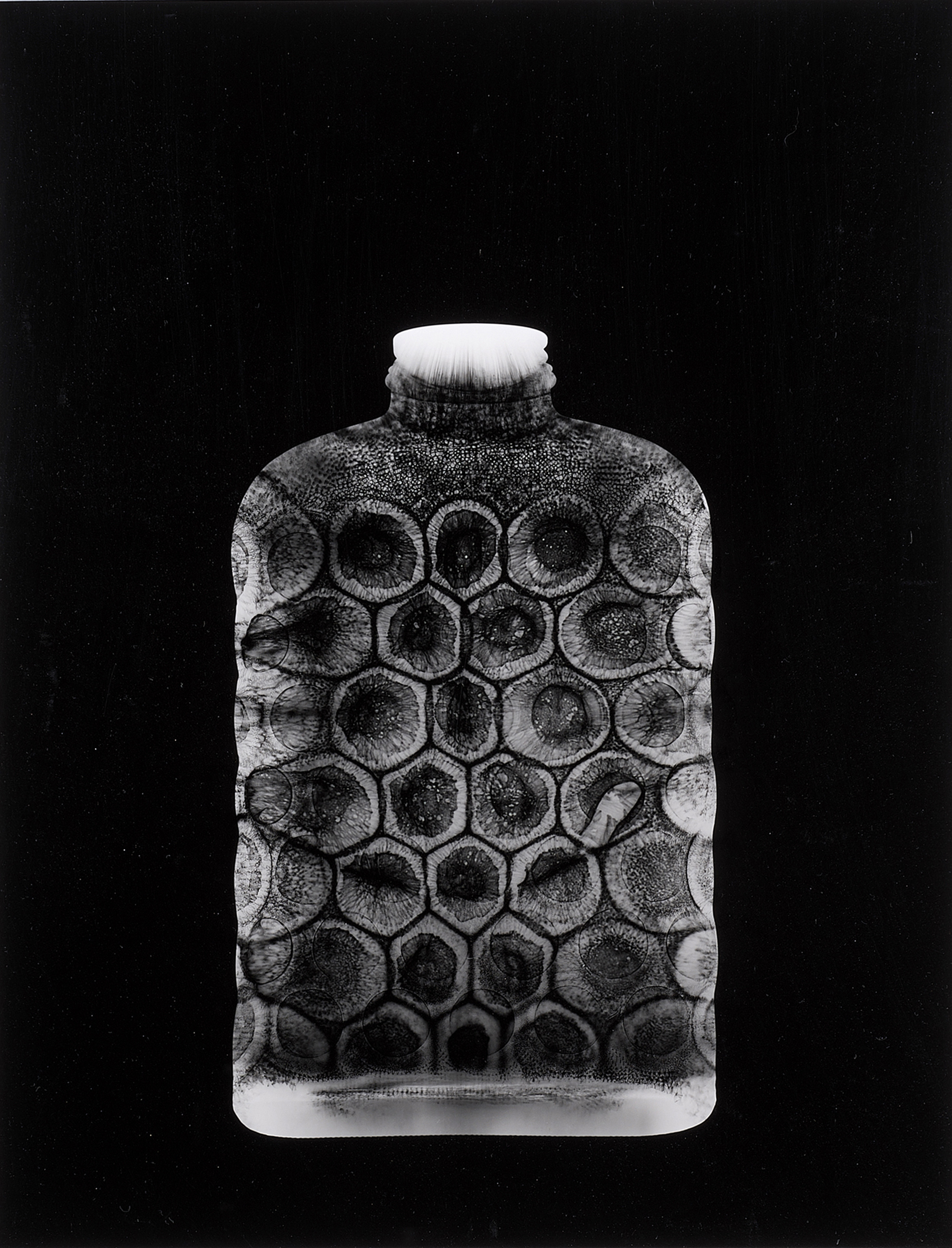 PHOTOGRAPH, SUSANNAH HAYS