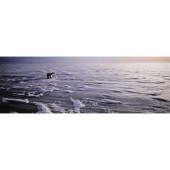 PHOTOGRAPH, THOMAS MANGELSEN T