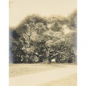 PHOTOGRAPH, WILLARD ELMER WORD
