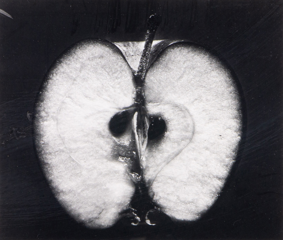 PHOTOGRAPH, WYNN BULLOCK Wynn