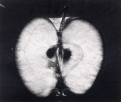 PHOTOGRAPH, WYNN BULLOCK Wynn