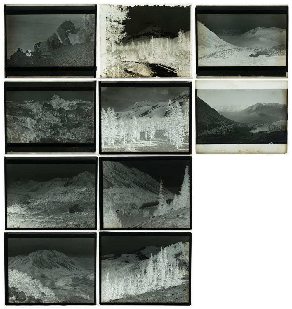 PHOTOGRAPHIC GLASS NEGATIVESTEN