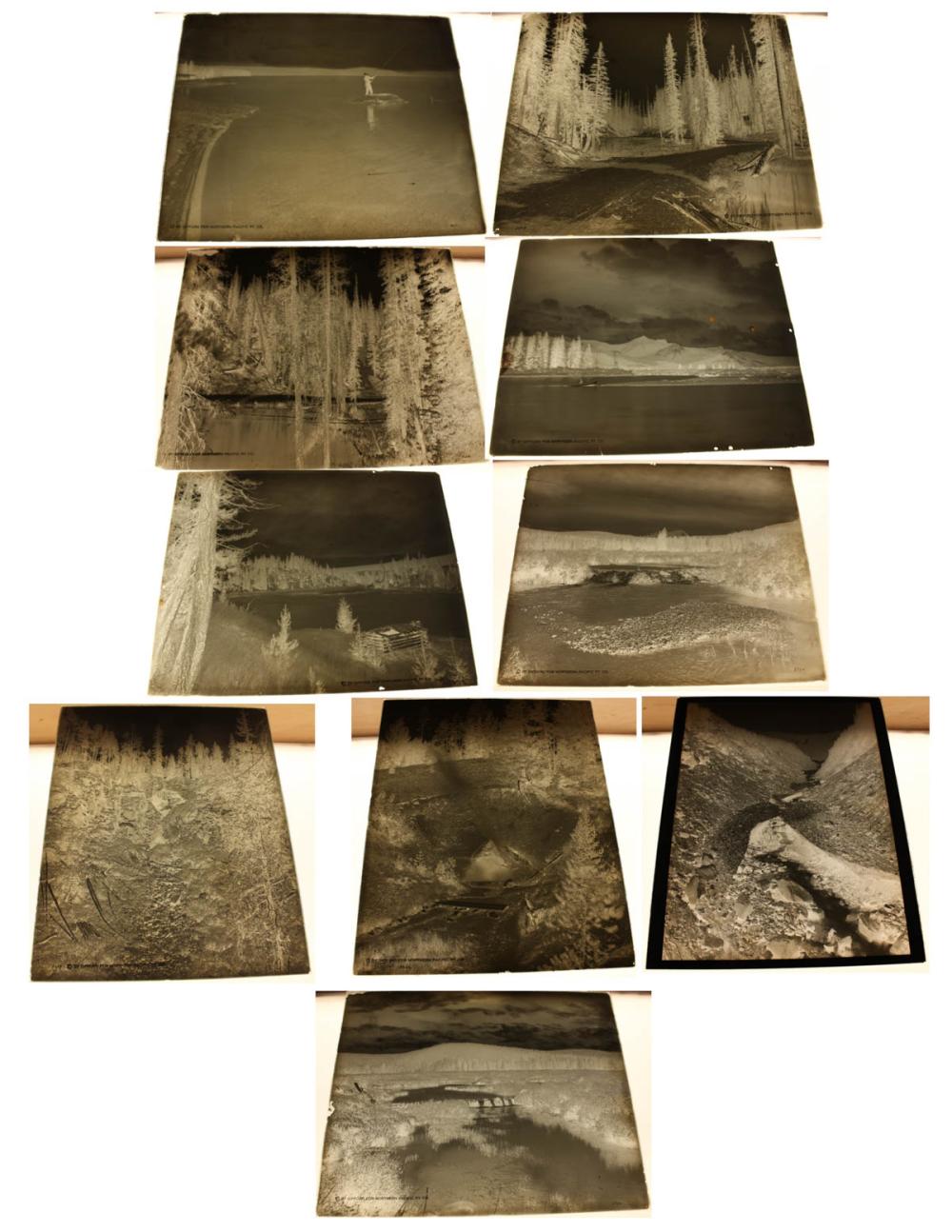 PHOTOGRAPHIC GLASS NEGATIVESTEN