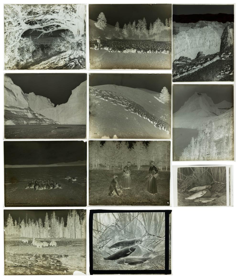 PHOTOGRAPHIC GLASS NEGATIVESTEN