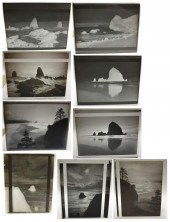 PHOTOGRAPHIC GLASS PLATESCOLLE