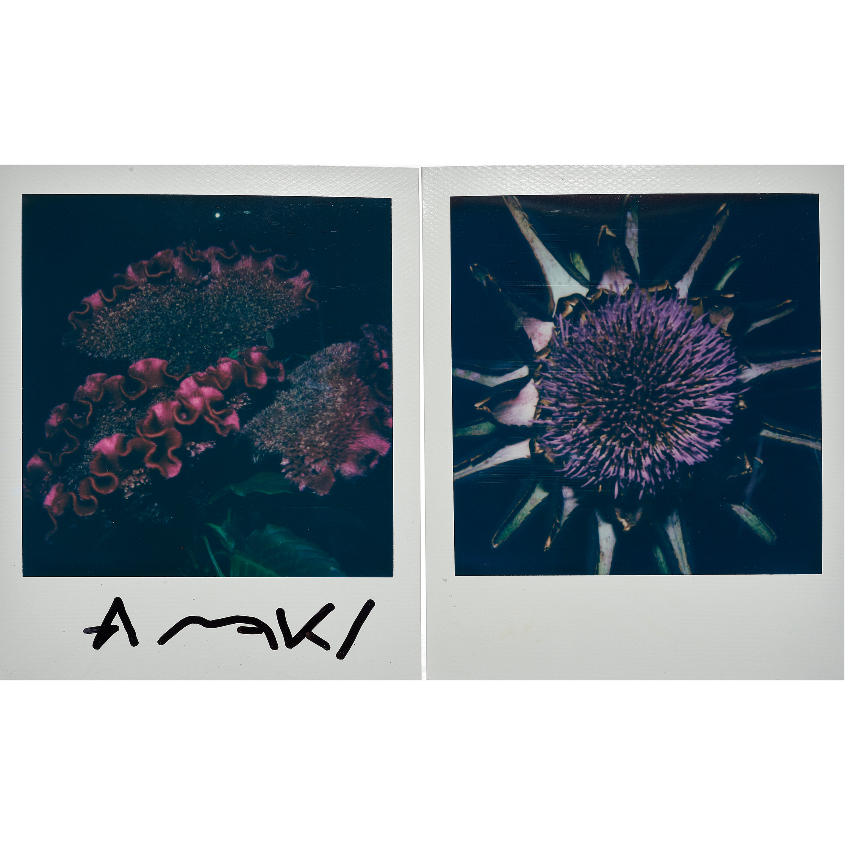 PHOTOGRAPHS, NOBUYOSHI ARAKI (lot