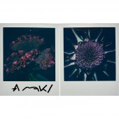 PHOTOGRAPHS, NOBUYOSHI ARAKI (