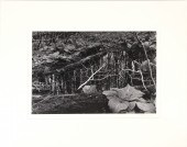 PHOTOGRAPHS, TERRY JONASSON (l