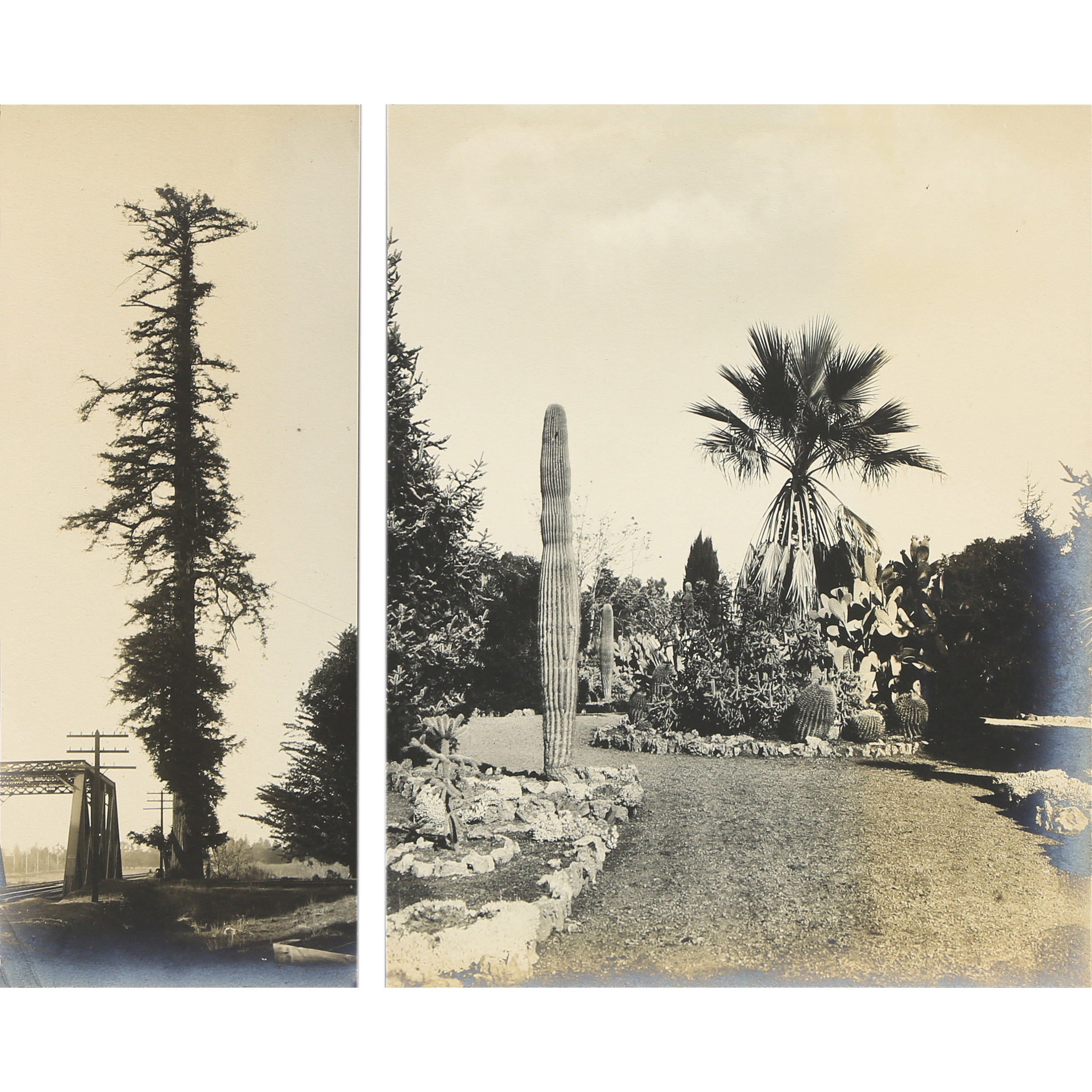 PHOTOGRAPHS, WILLARD ELMER WORDEN