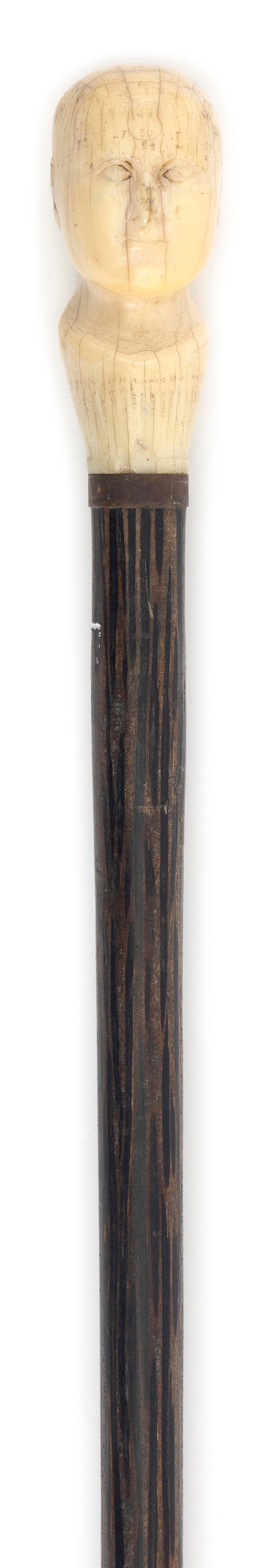 PHRENOLOGY CANE 19TH CENTURY LENGTH
