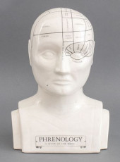 PHRENOLOGY HEAD PORCELAIN SCUL