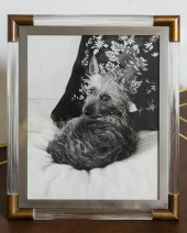 PICTURE FRAME FROM THE COLLECT