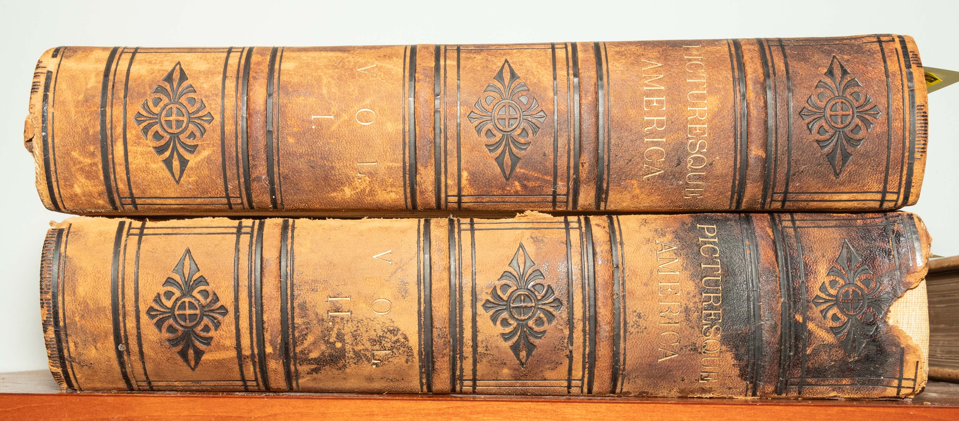 PICTURESQUE AMERICA, TWO-VOLUME