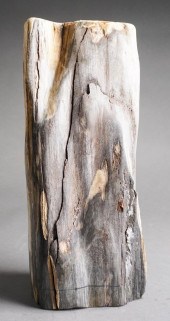 PIECE OF FOSSILIZED WOOD, L: 1