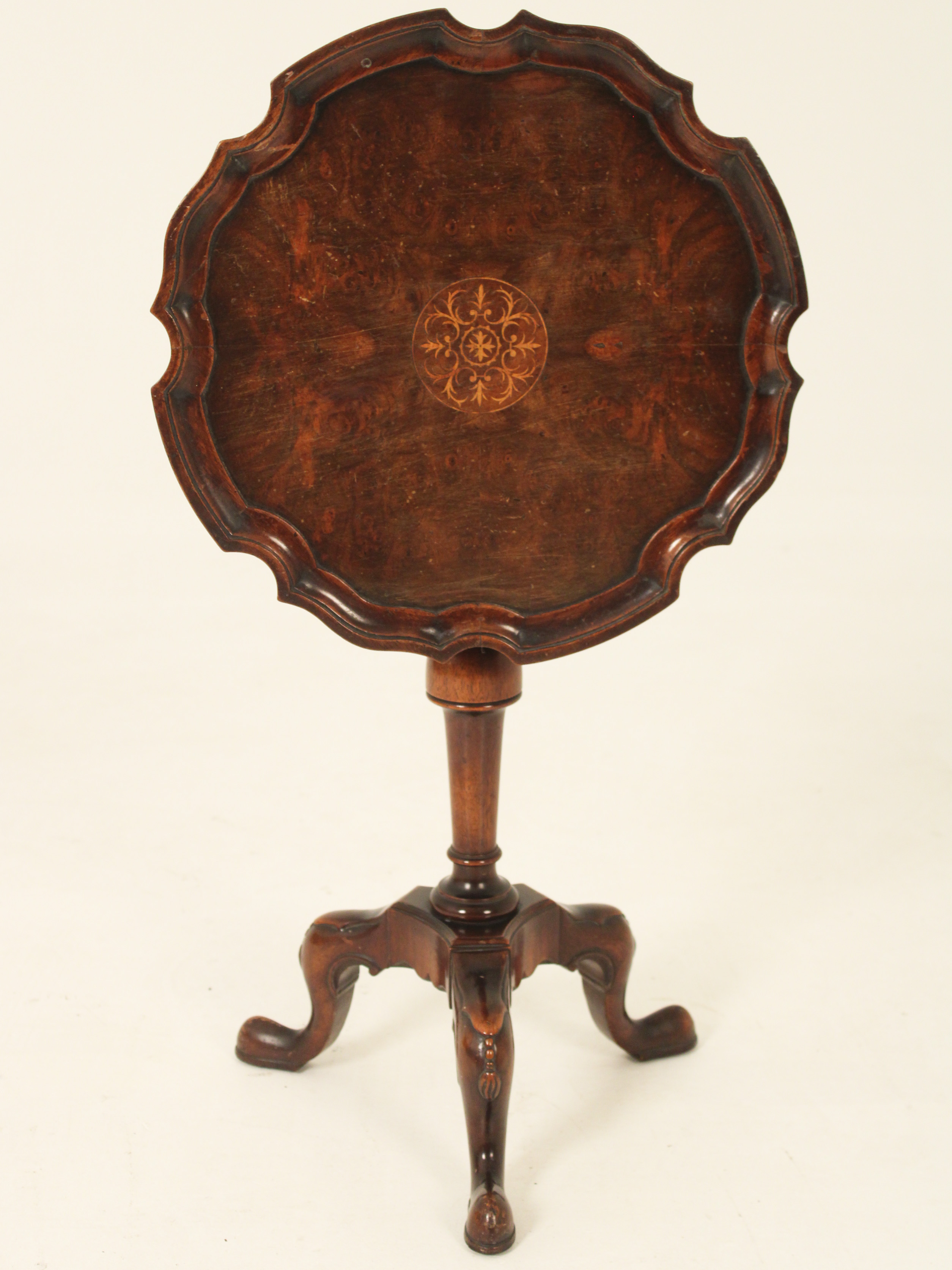PIECRUST TOP QUEEN ANNE SEAWEED