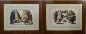 PIERRE ANTONIO PAZZI (ITALIAN,
