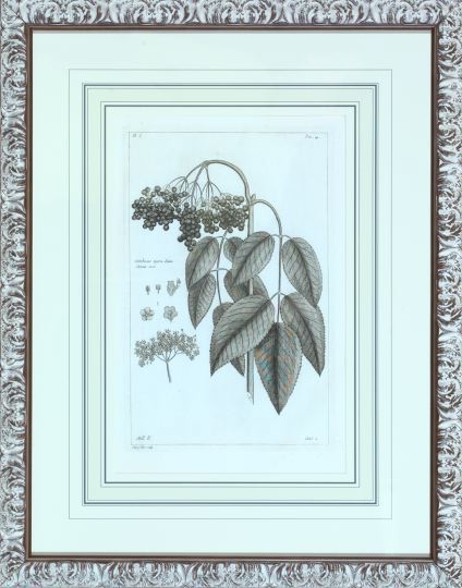 Pierre Bouchoz (French, 18th