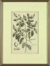 Pierre Bouchoz (French, Late 1