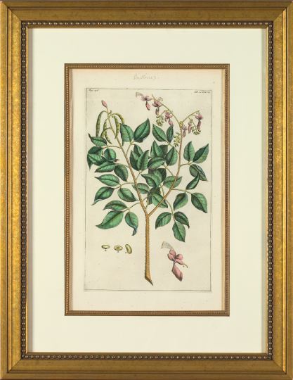 Pierre Bouchoz (French, Late