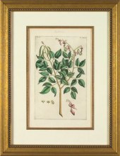 Pierre Bouchoz (French, Late 1