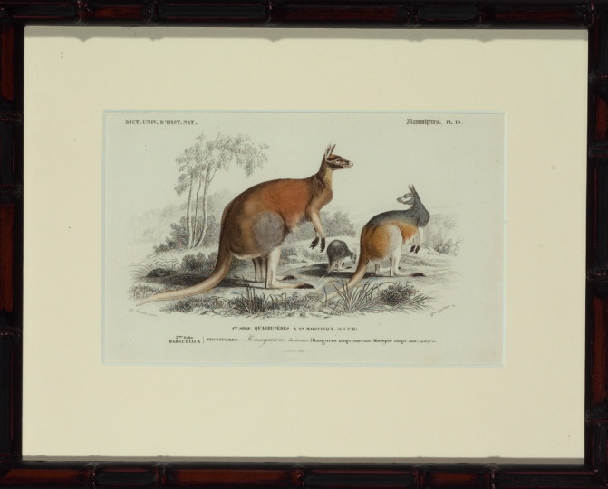 Pierre Fournier and Edouard Travies