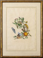 PIETER SLUYTER BOTANICAL HAND-