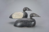 "PINCH-NECK" CANVASBACK PAIRPo